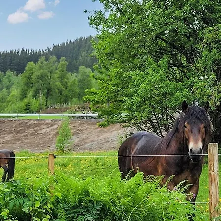 Feriehus 6 Værelses Skøn Bolig I